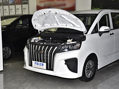 2025�� 2.0L CNG��Ӣ�� 9��