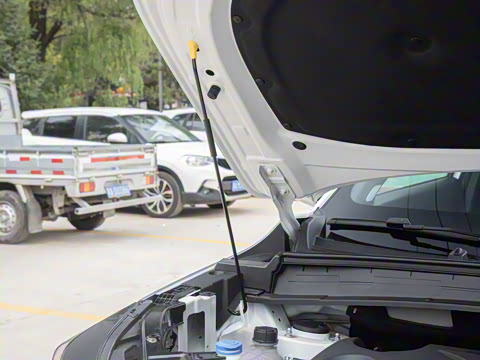 2026�� ���Ĵ� ������ 1.5T ���������