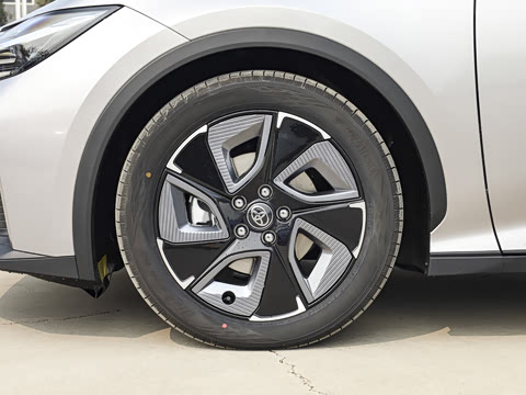 2026�� ������ JOY