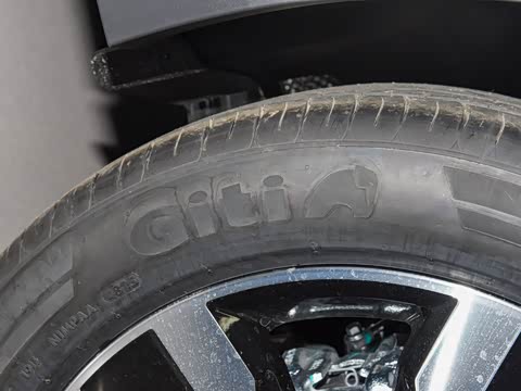 2026�� ���ڿ� 330TSI �Զ�����R-Line��ҫ��