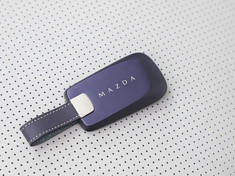 2026�� ����600 Pro