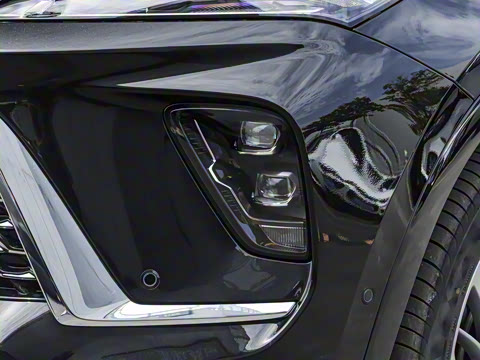 2026�� ������Plus ����Avenir��ά��