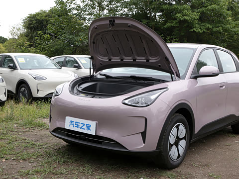 2026�� 310km ������