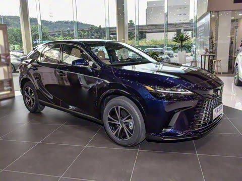 2026�� 300 ����������