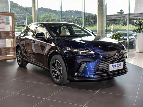 2026�� 300 ����������