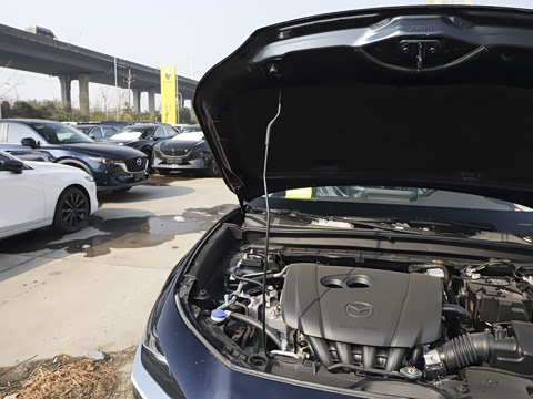 2025�� 2.0L �Զ�������