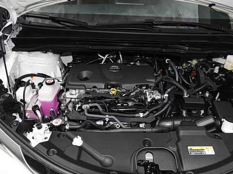 2027�� 2.5L ˫��������������
