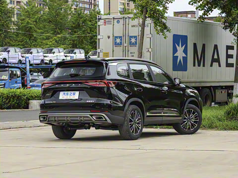 2025�� 290T ��������+