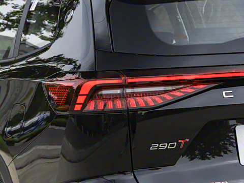 2025�� 290T ��������+