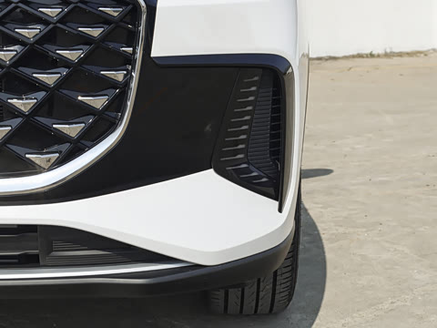 2026�� 290TGDI DCT������ 5��