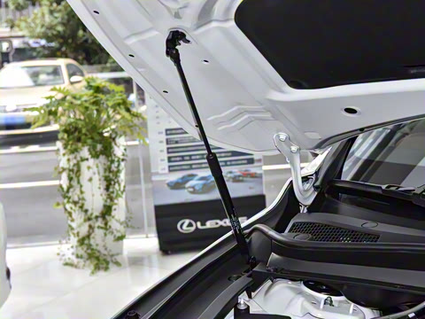 2026�� 300 ����������