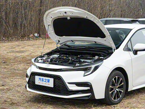 2026�� ����L ���Ͱ� 2.0L ����PLUS��