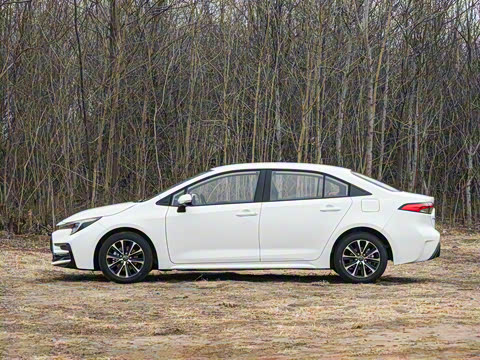 2026�� ����L ���Ͱ� 2.0L ����PLUS��