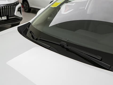 2025�� 1.5L ׿Խ��