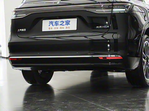 2025�� ���� Max ������