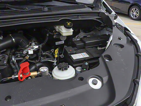 2025�� 2.4L �ֶ��߼����а� CNG 7��