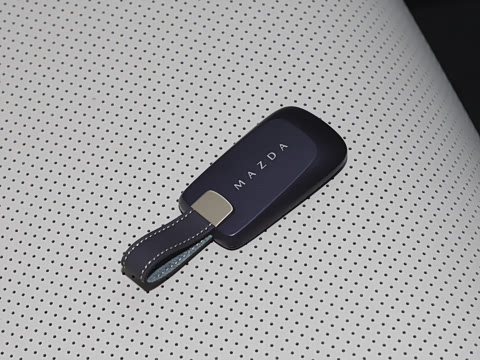 2025�� ����200 Pro