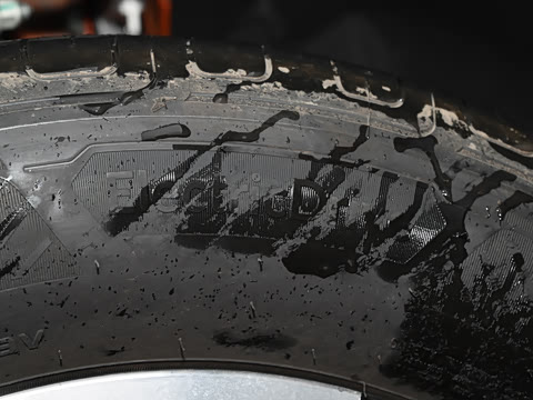 2026�� ��̲�����