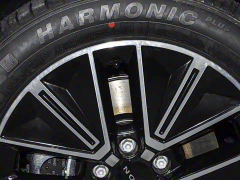 2026�� 520�Ǻ���