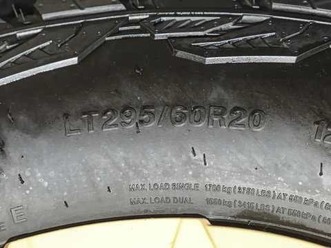 2024�� ���̸ߵ���ʨ��