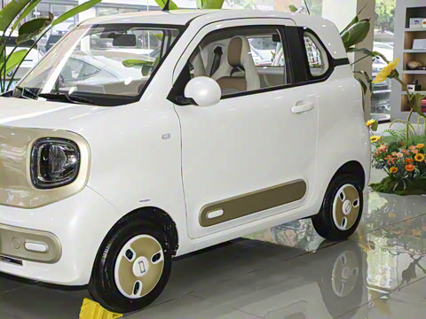 2026�� 222km ������