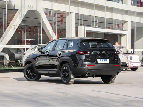 2026�� 2.0L ���а�