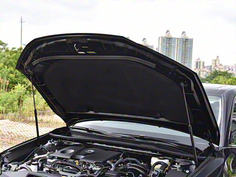 2026�� ˫�� 2.0HE ��Ӣ��