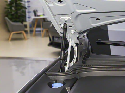 2025�� ����Ultra+����������