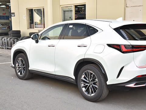 2026�� 200 ��ɫ�޶���