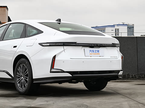 2026�� 300h