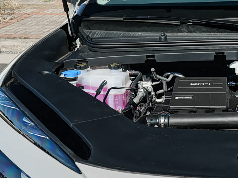 2026�� DM-i 305�콢��