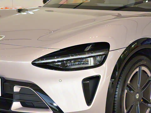 2025�� ������������Pro��