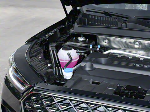 2025�� 290TGDI DCT���ư�