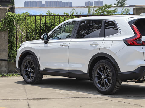 2026�� ȫ��30����ҫ�� 1.5T ��������5����