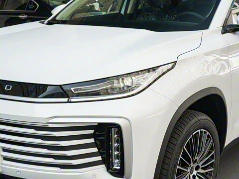 2025�� 300T ������ҹ��