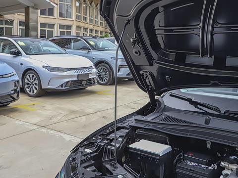 2025�� 550������