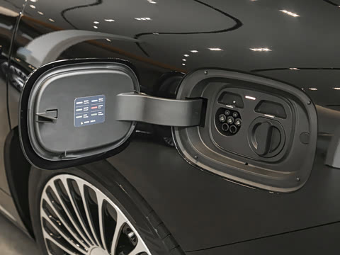 2025�� ���� Max