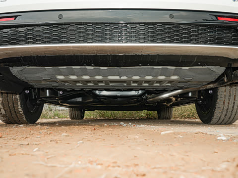 2026�� 2.5L�춯 ���PLUS��