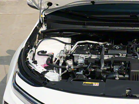 2026�� 1.8L ˫�� ��Ӣ��