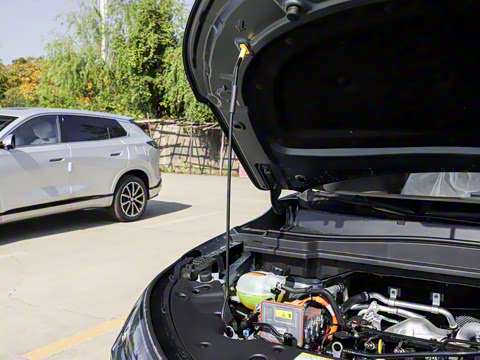 2025�� 185KM�����