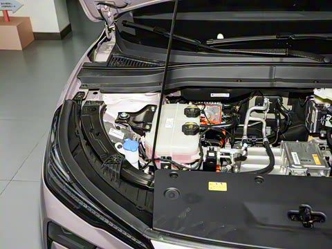 2025�� 565km ������