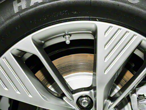 2025�� 565km ������