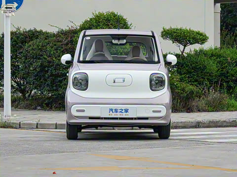 2026�� 222km �Ų���