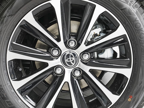 2026�� ����L 185T ������