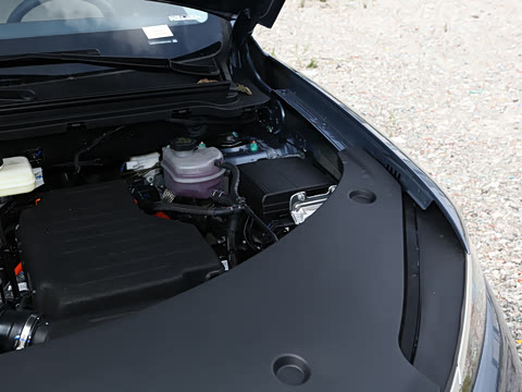 2026�� DM-i 133KM��Խ��