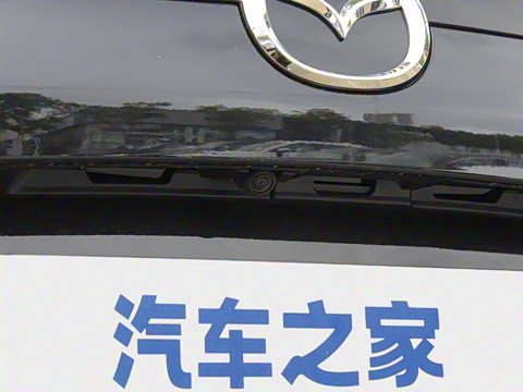 2025�� 2.0L �Զ���������Pro