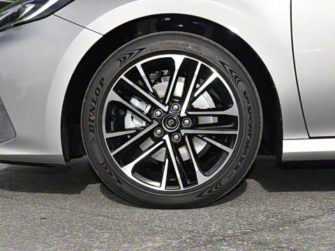 2026�� ˫�� 2.5HG ����