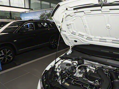 2025�� �Ŀ�� 300TSI R-Line