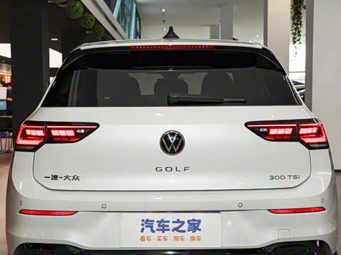 2025�� �Ŀ�� 300TSI R-Line