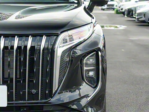 2025�� 2.0T PHEV ����200��������� 7��